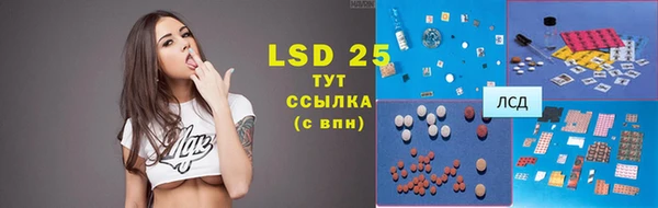 прущие грибы Осташков
