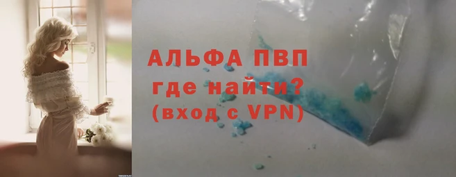 прущие грибы Осташков