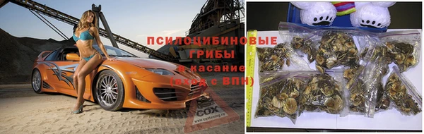 кокс Осинники