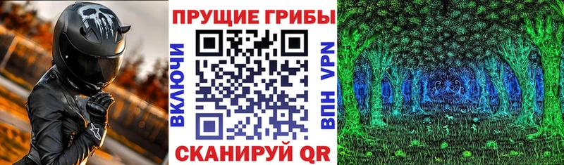 Псилоцибиновые грибы Psilocybine cubensis  Купить  Тотьма 